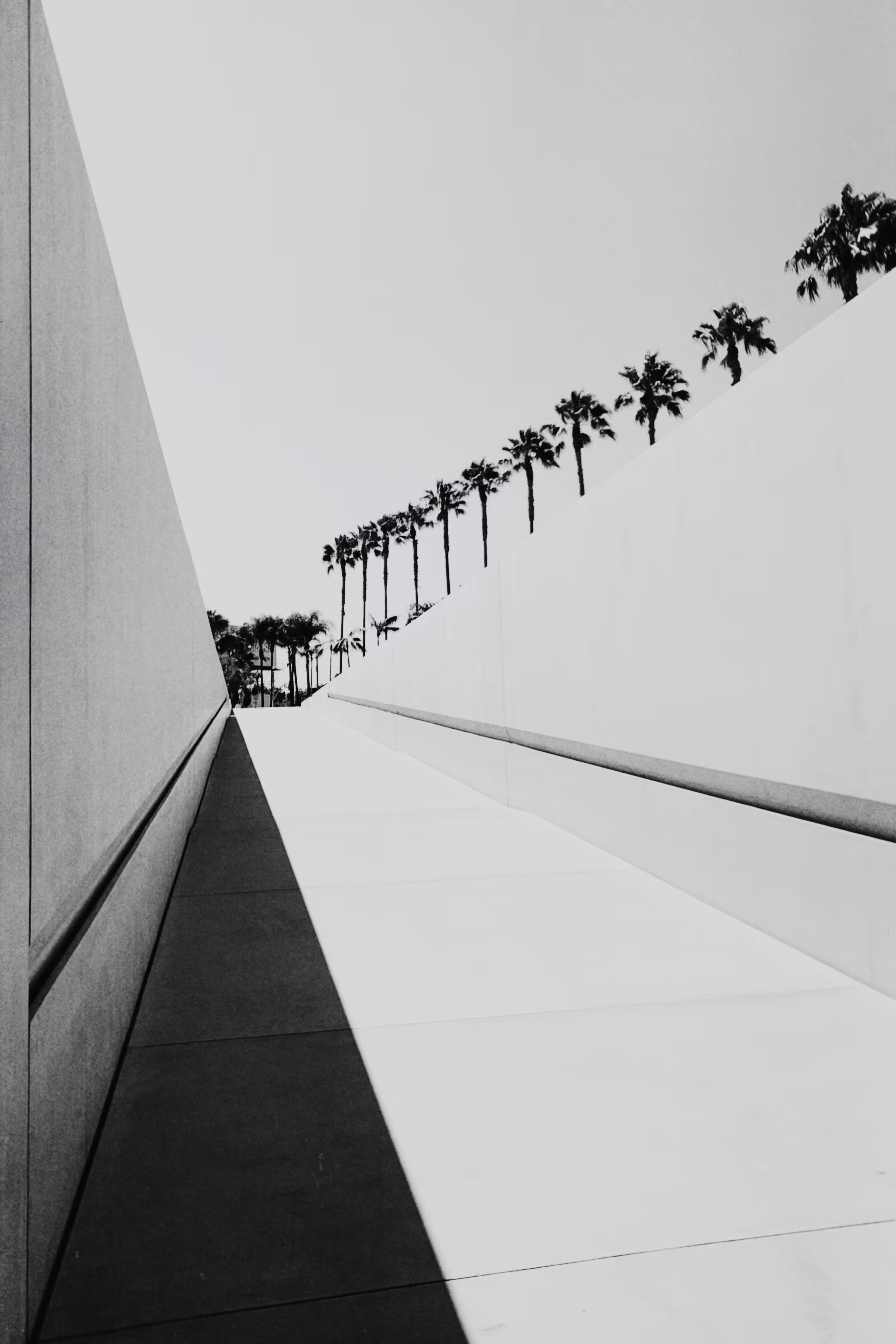 Black and white cities // LA