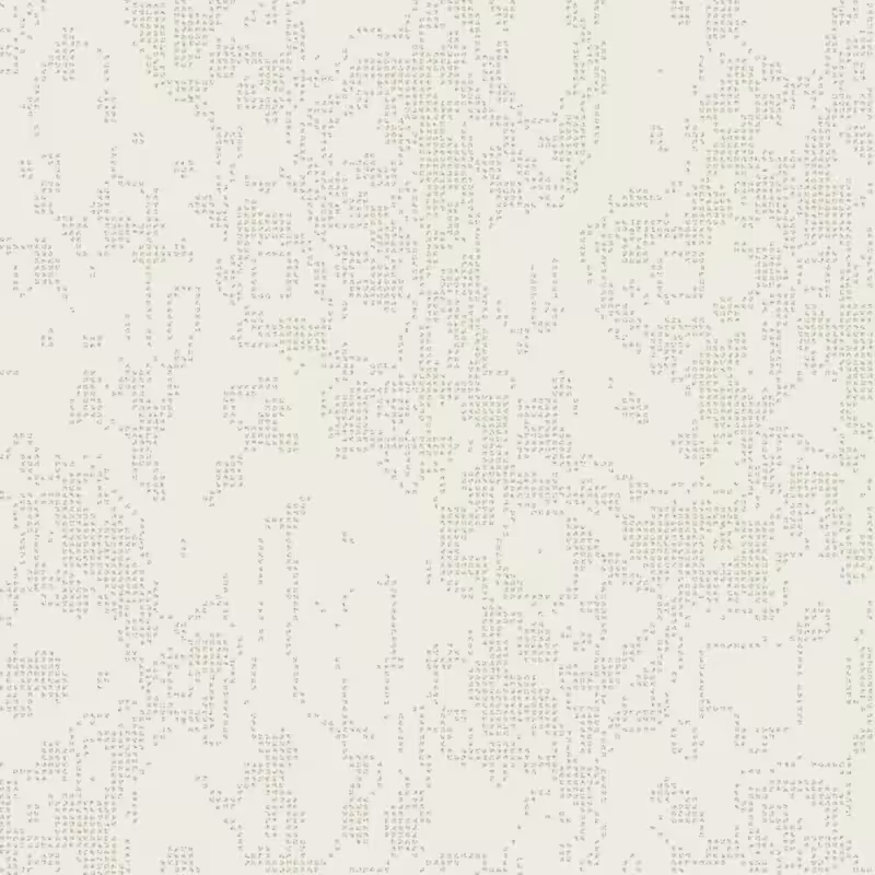 Petri 1500 #1062