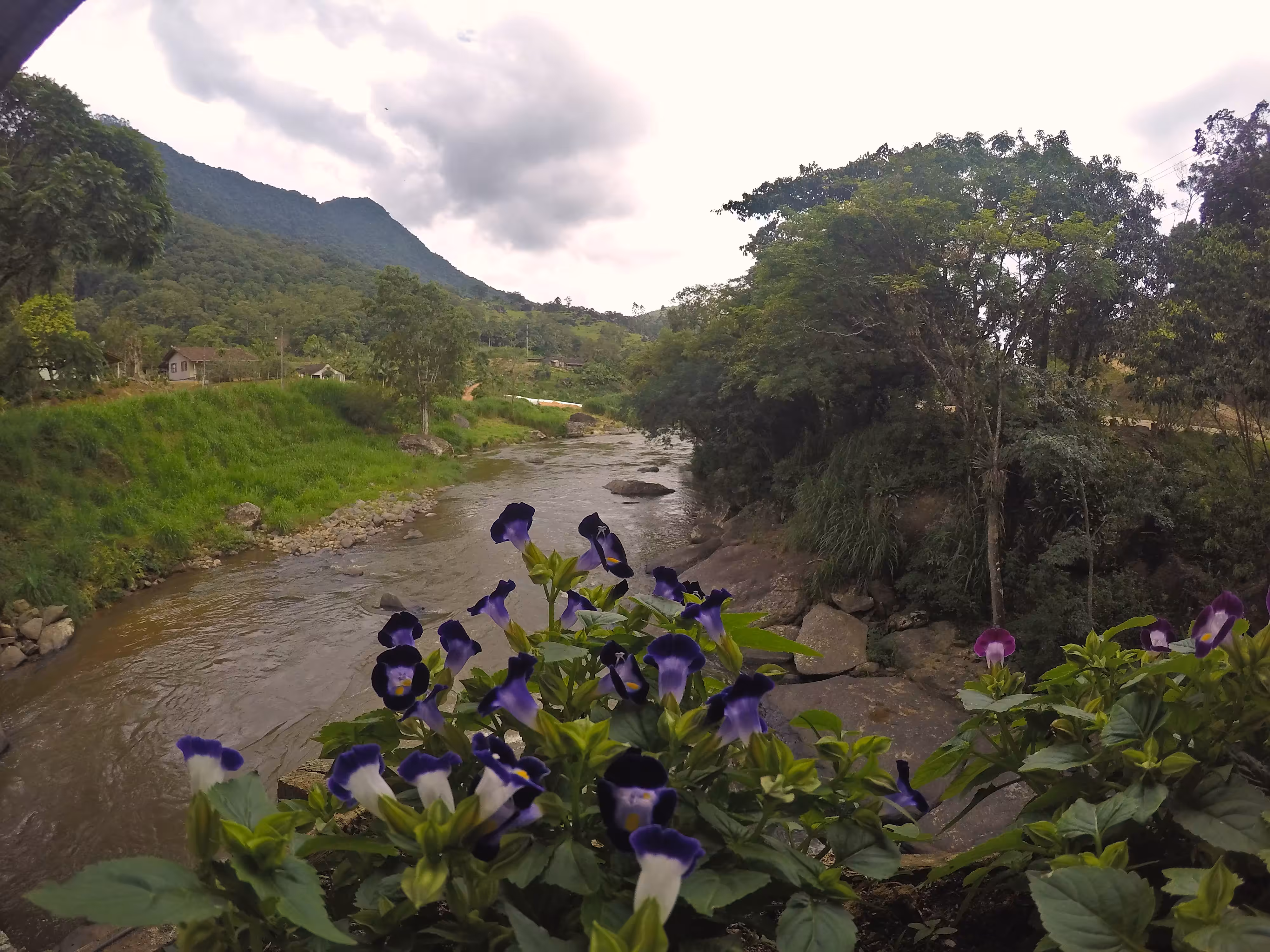 Flowery bridge