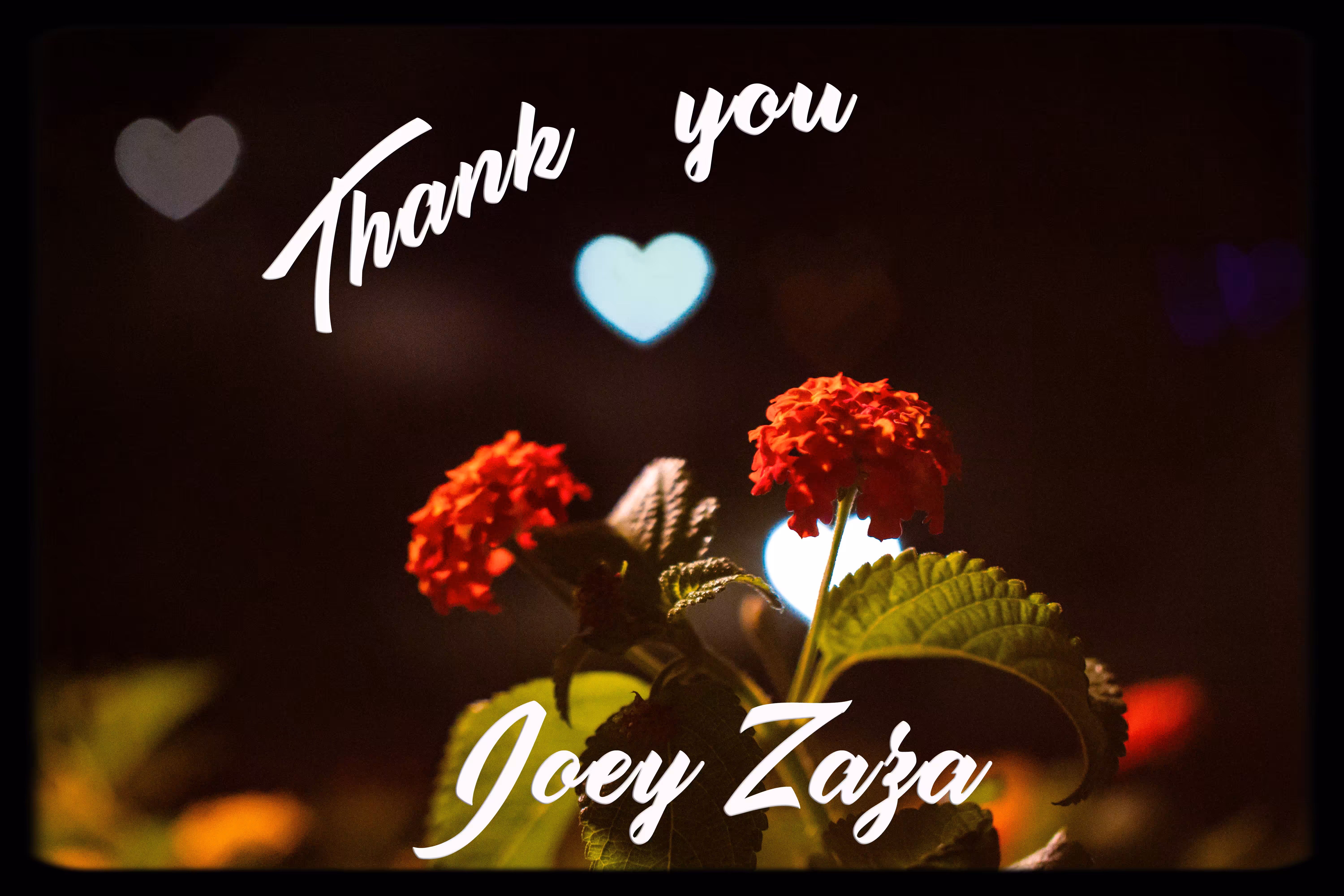 Thank You Joey Zaza