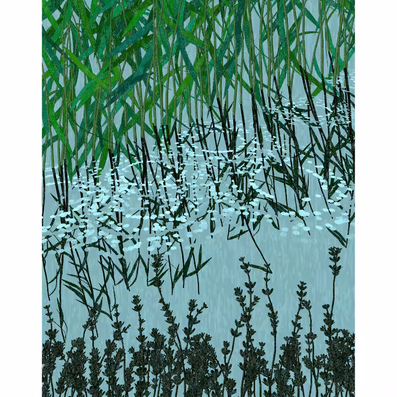Reflecting pools #48