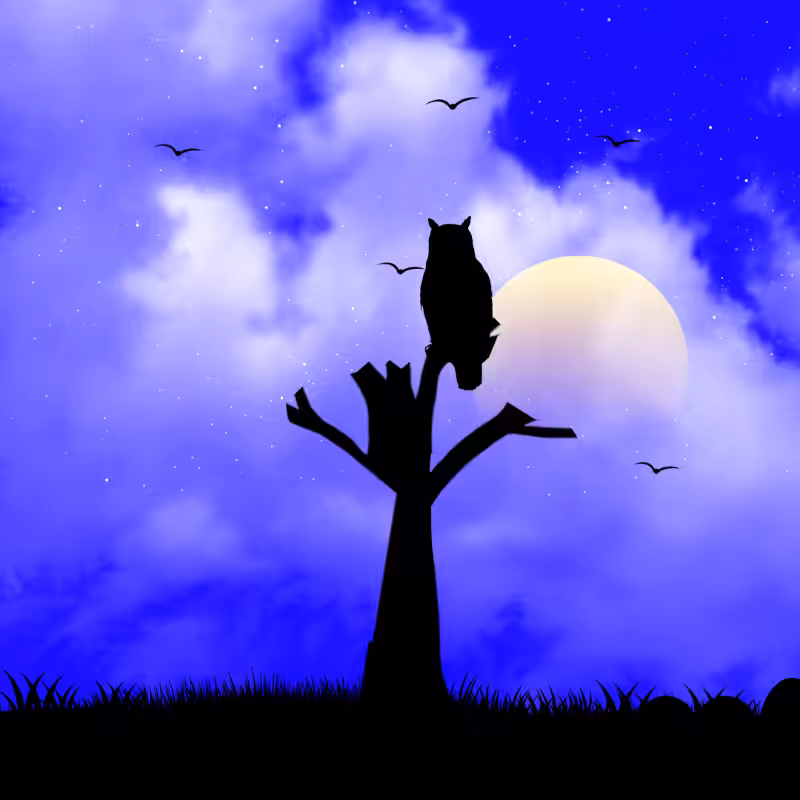We Care...Owl #11