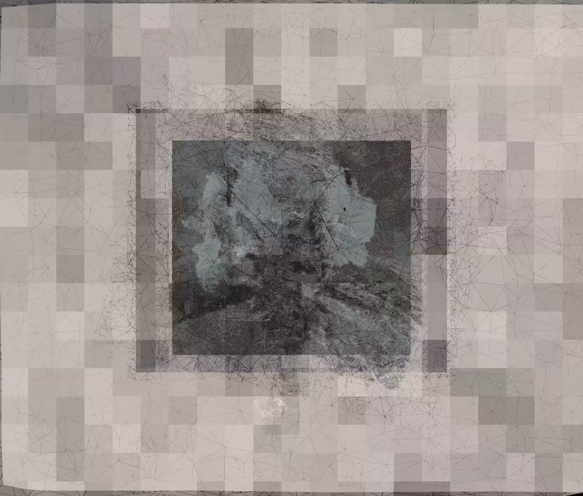 X§§§§§§§X