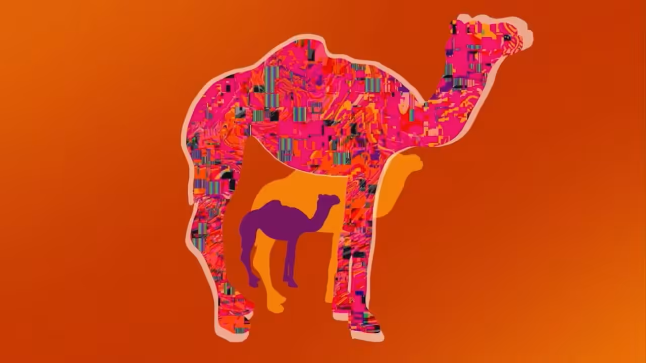 No Signal - Camel