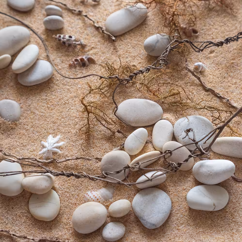 Sand Whisperer.