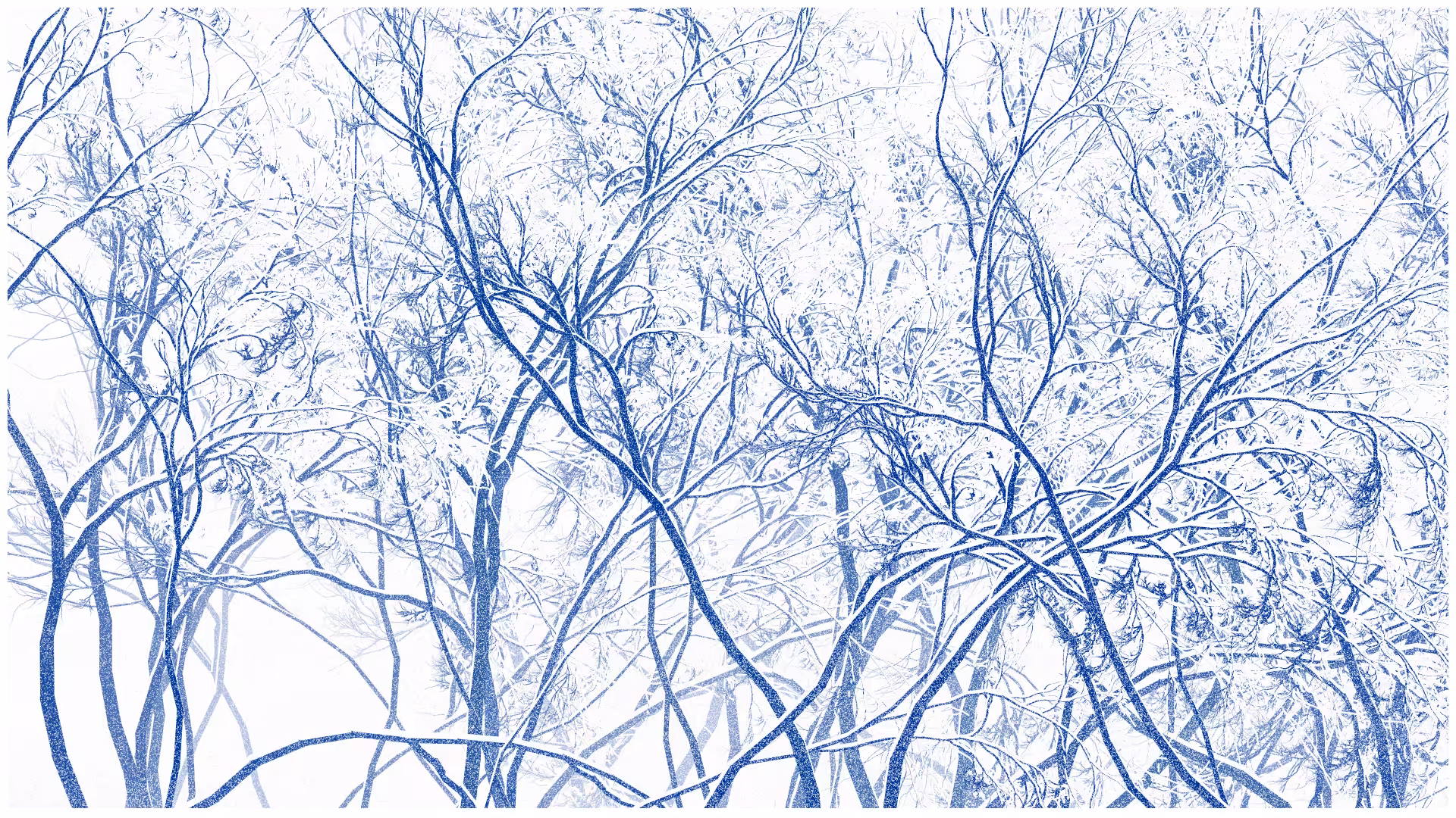 SCHNEEWALD #151