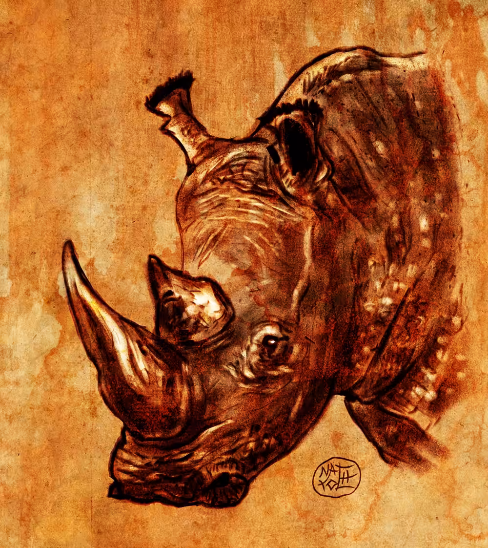 Rhino #1