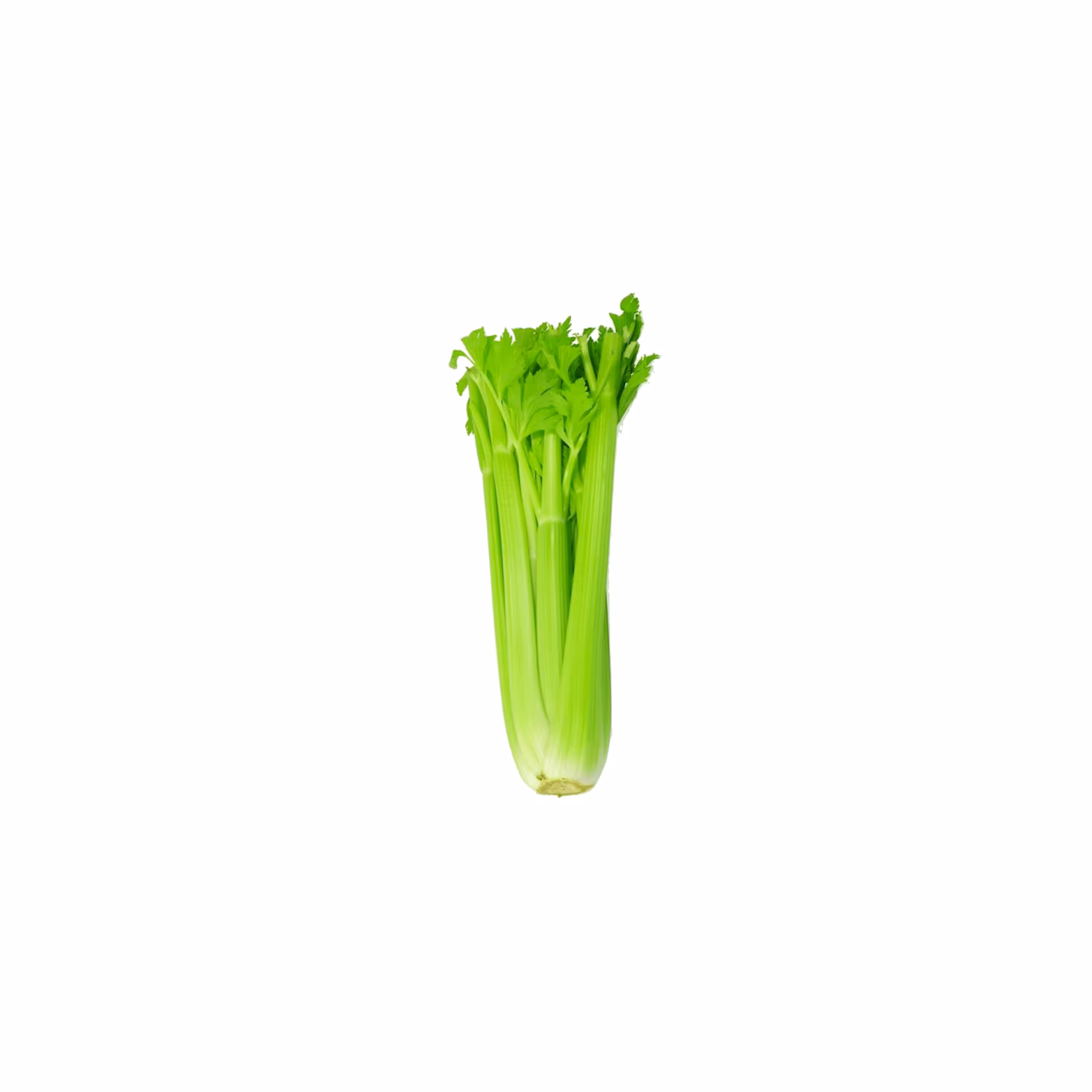Celery
