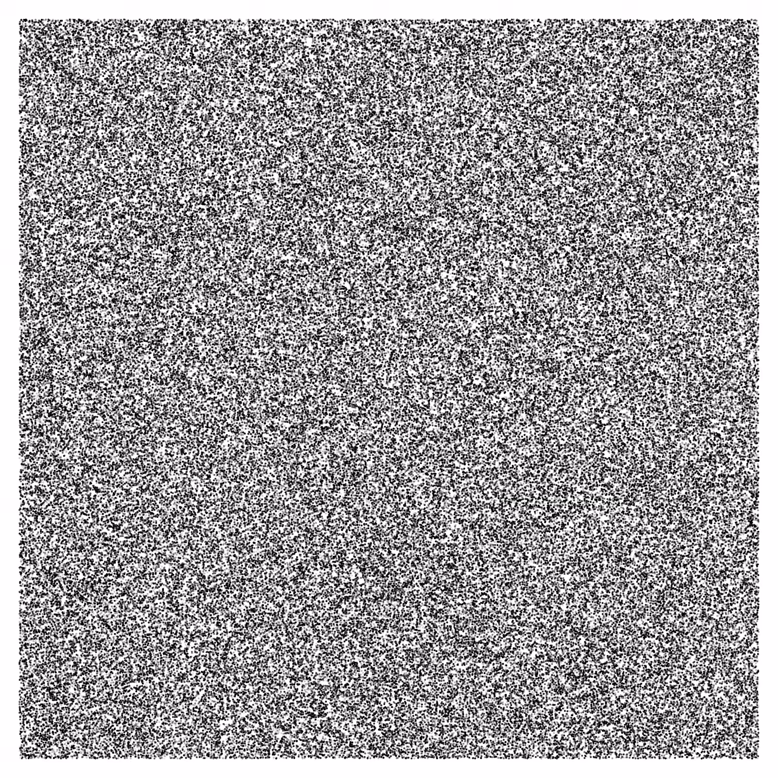 Noise #37