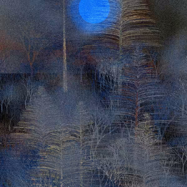 Moonlit Native Bush #103