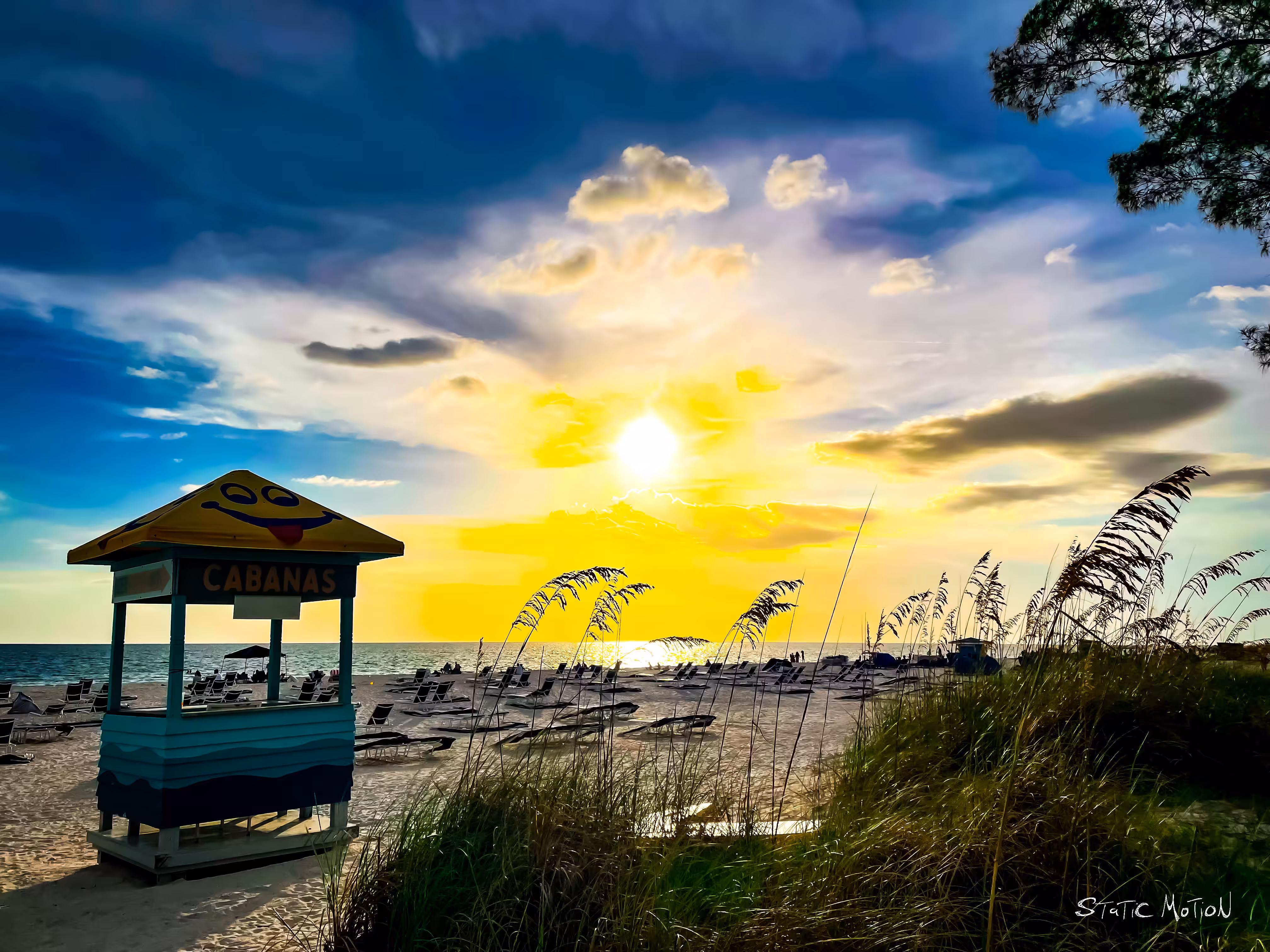 Paradise Welcomes You