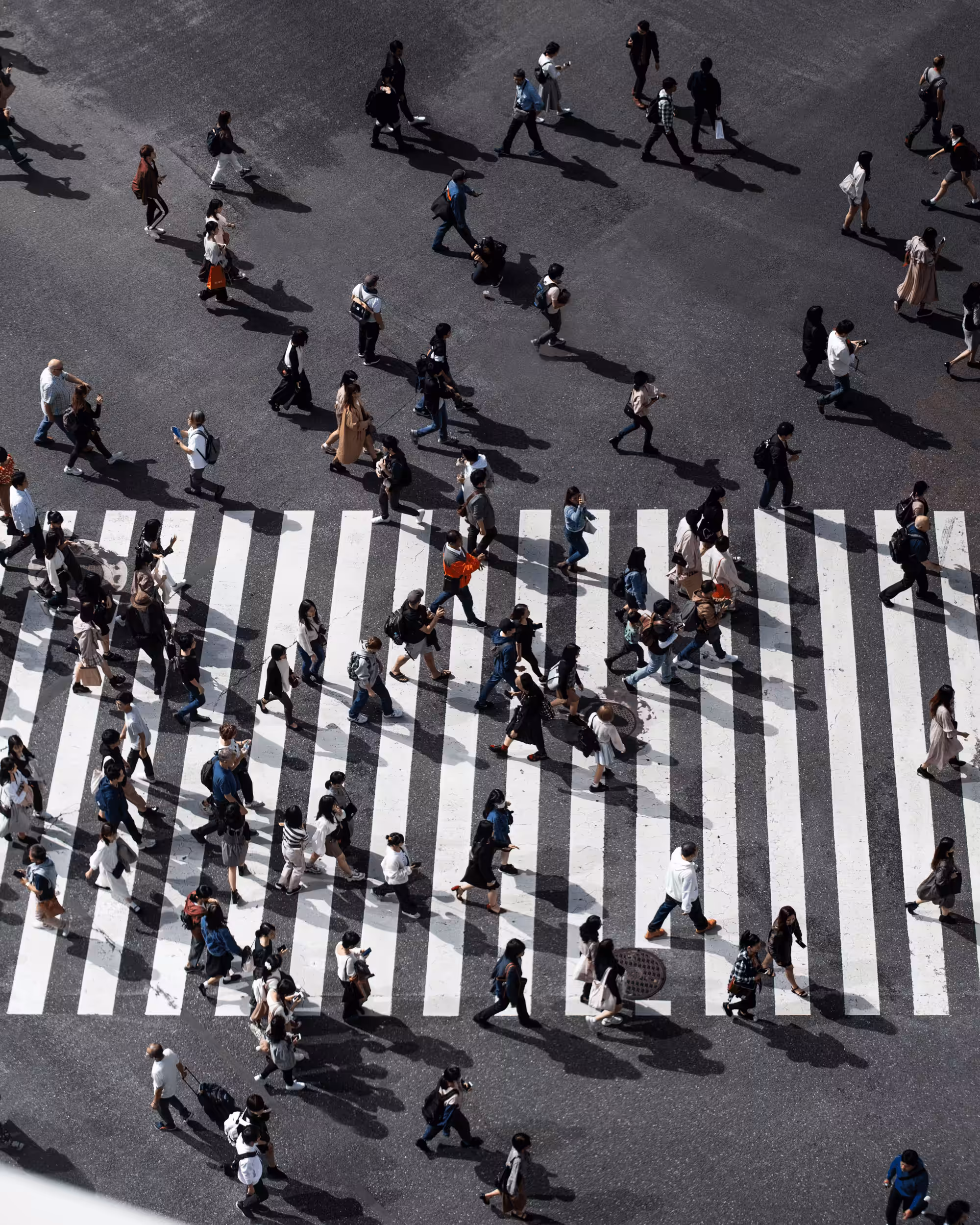 The Crossing #2