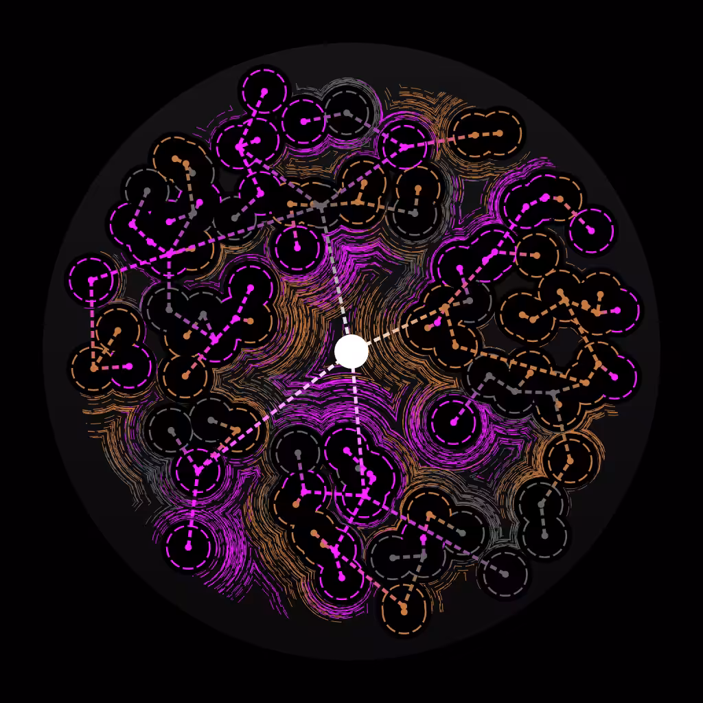 Local Universe #5