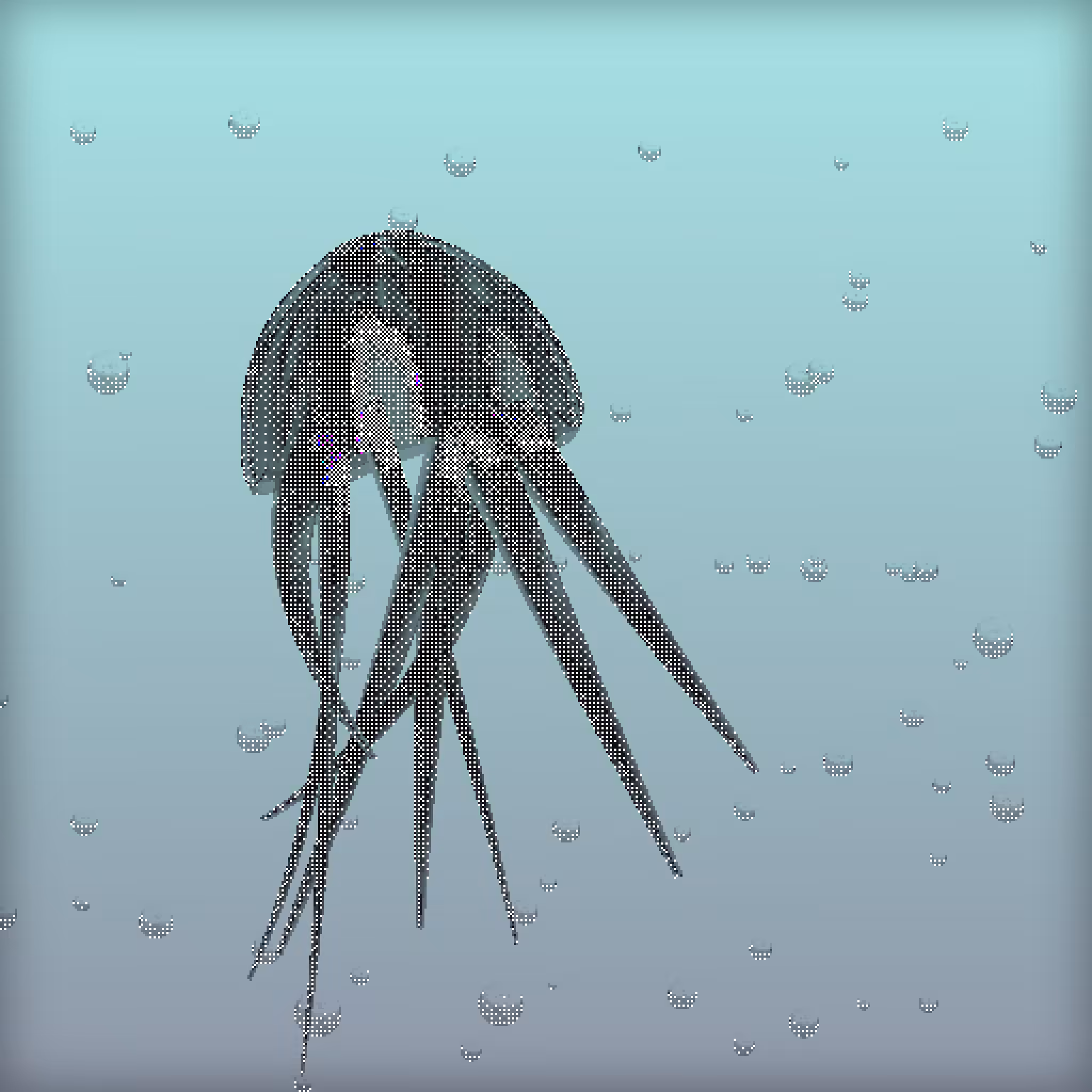 Jellyfish