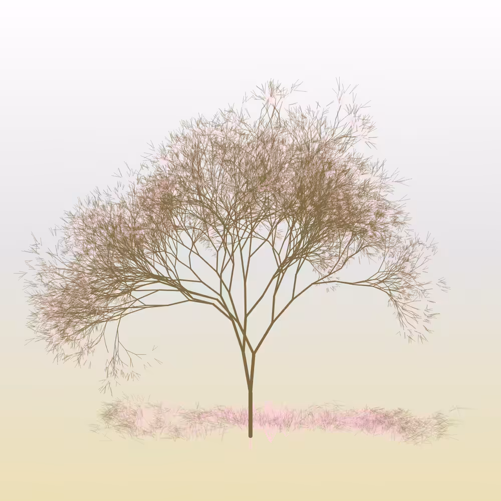 Hanami #12