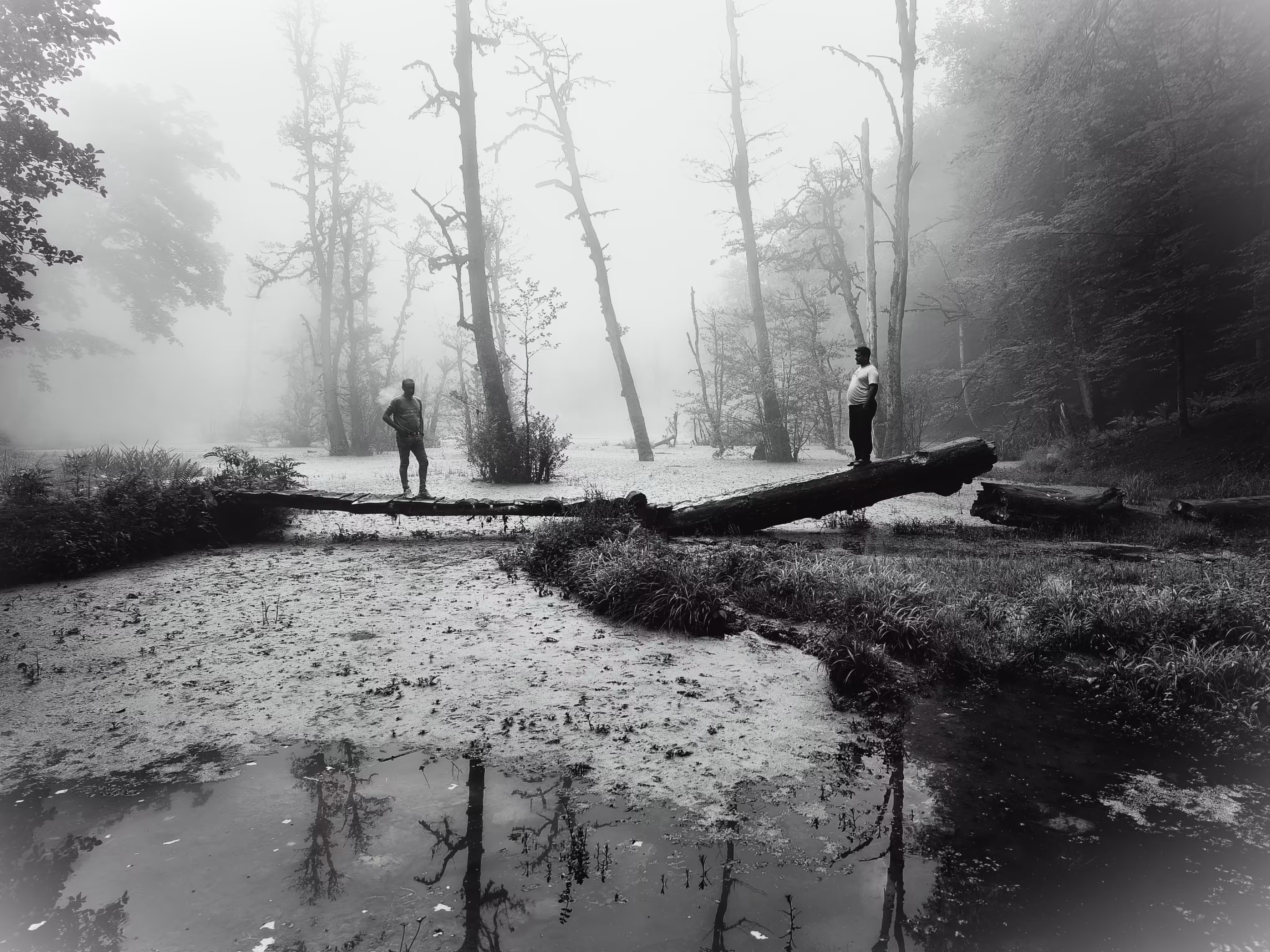 Meeting in the Mist