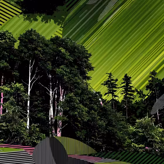 Forest Majic: Forest Magic #12