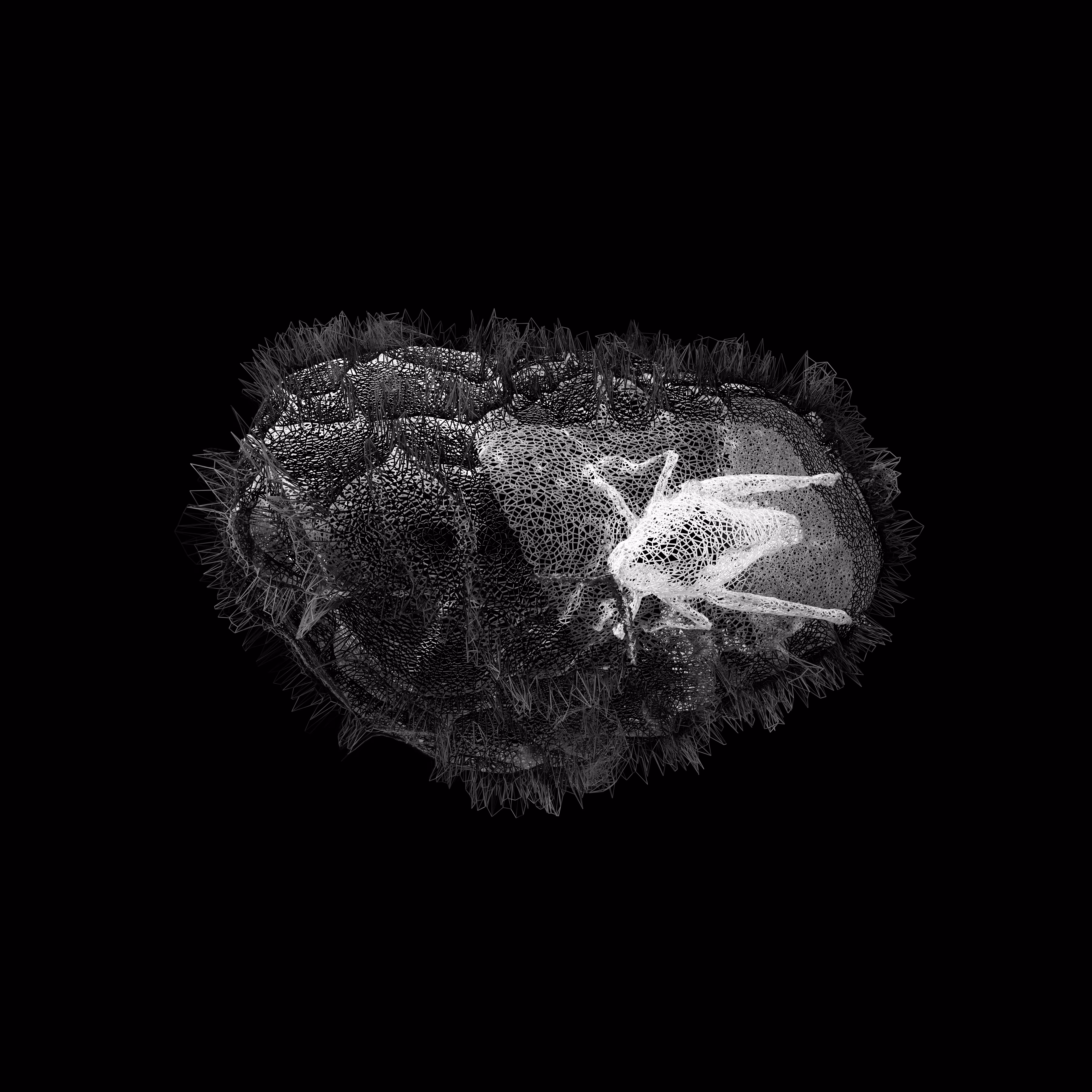 [ Memoria ]