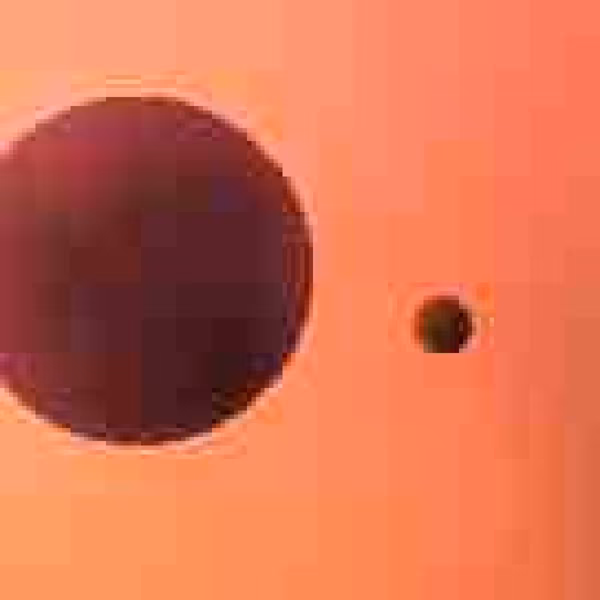 Orbit 711471545