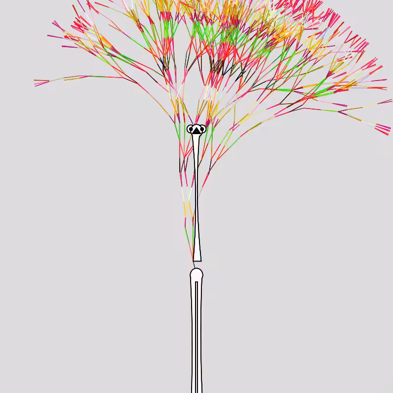 Peacocks #201