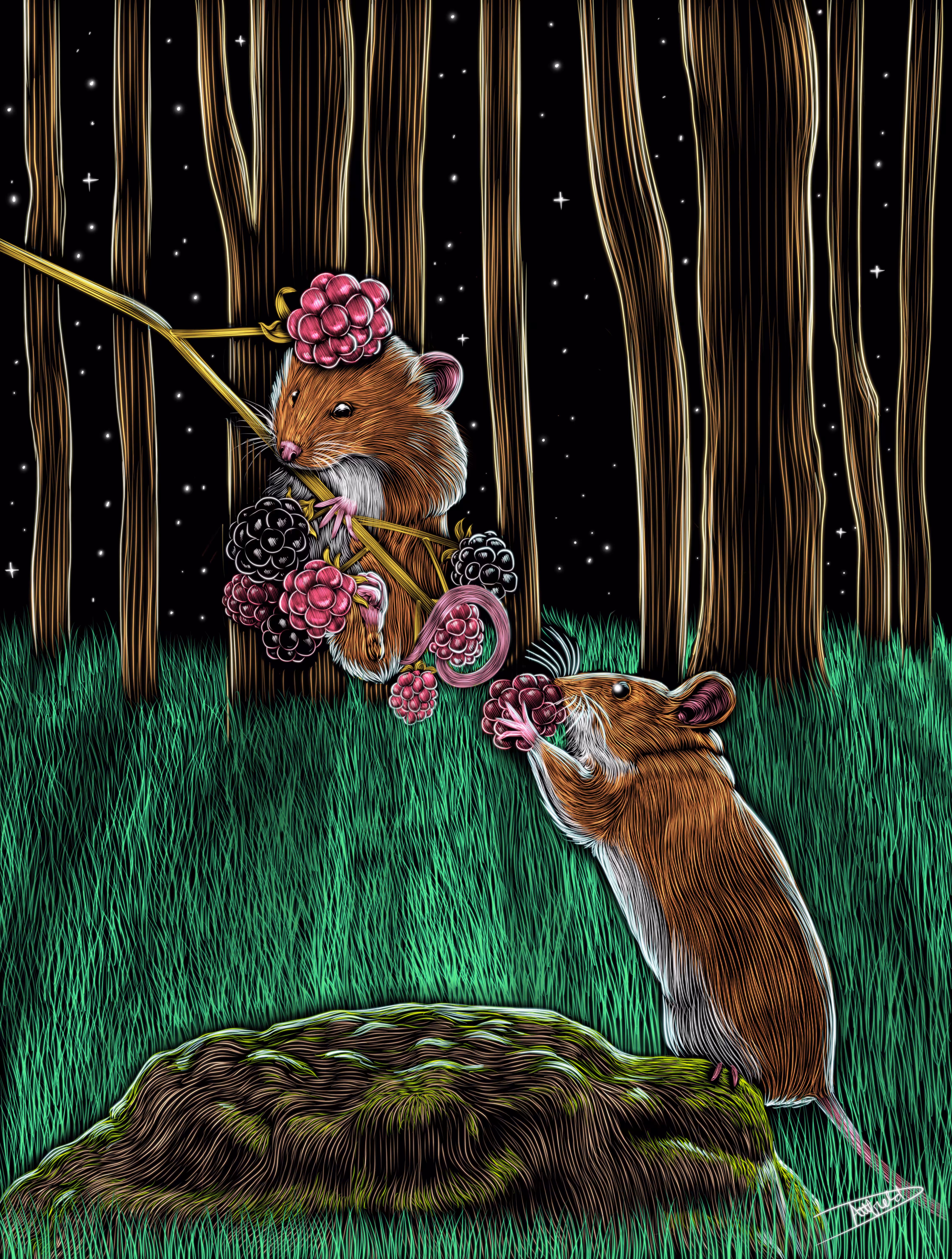 Harvest Moon