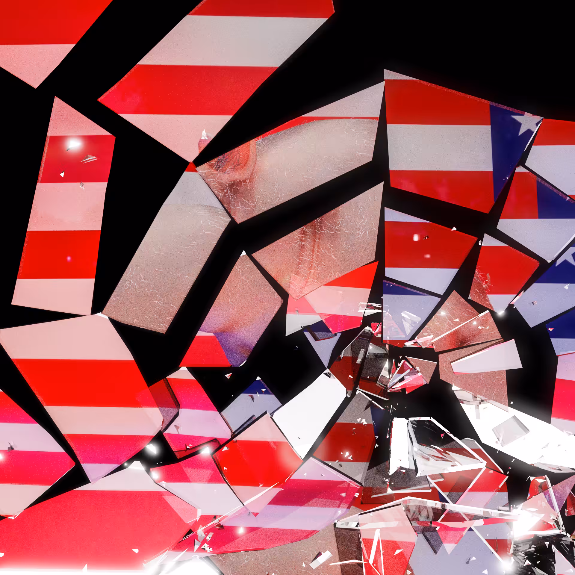 Shattered Image 3/3