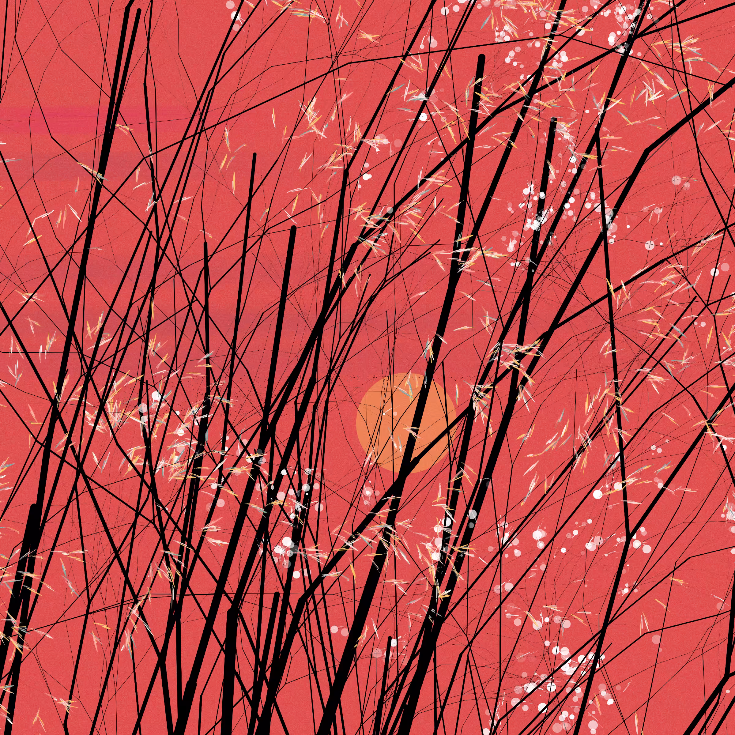 conversation with the wind #176