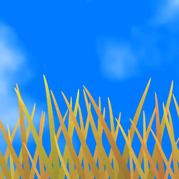 Fields of Ukraine #14