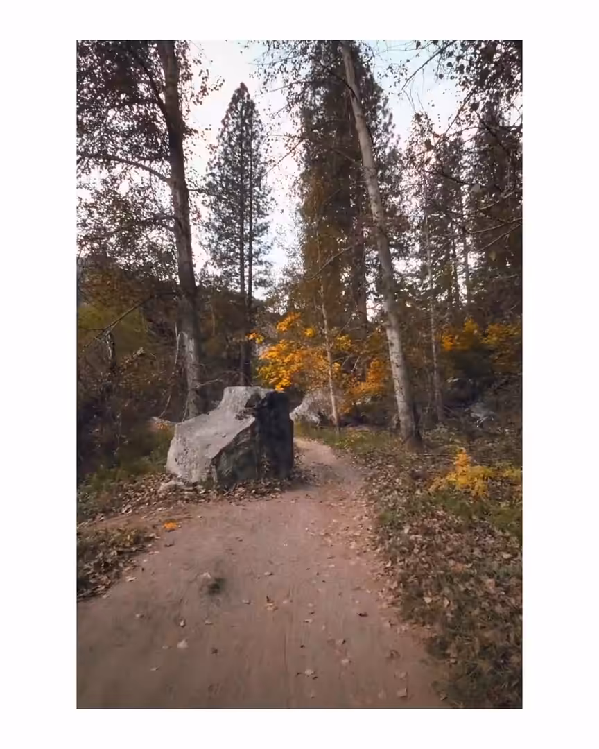 Forgotten Frames — 005