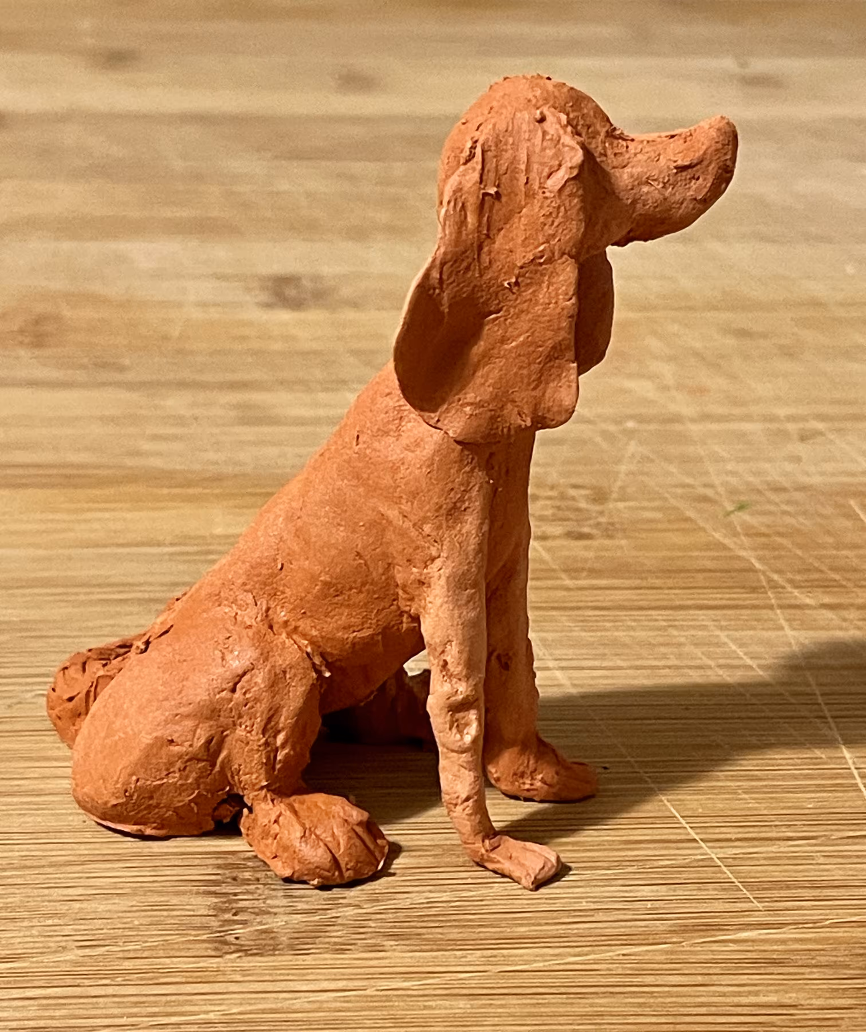 Brown Dog