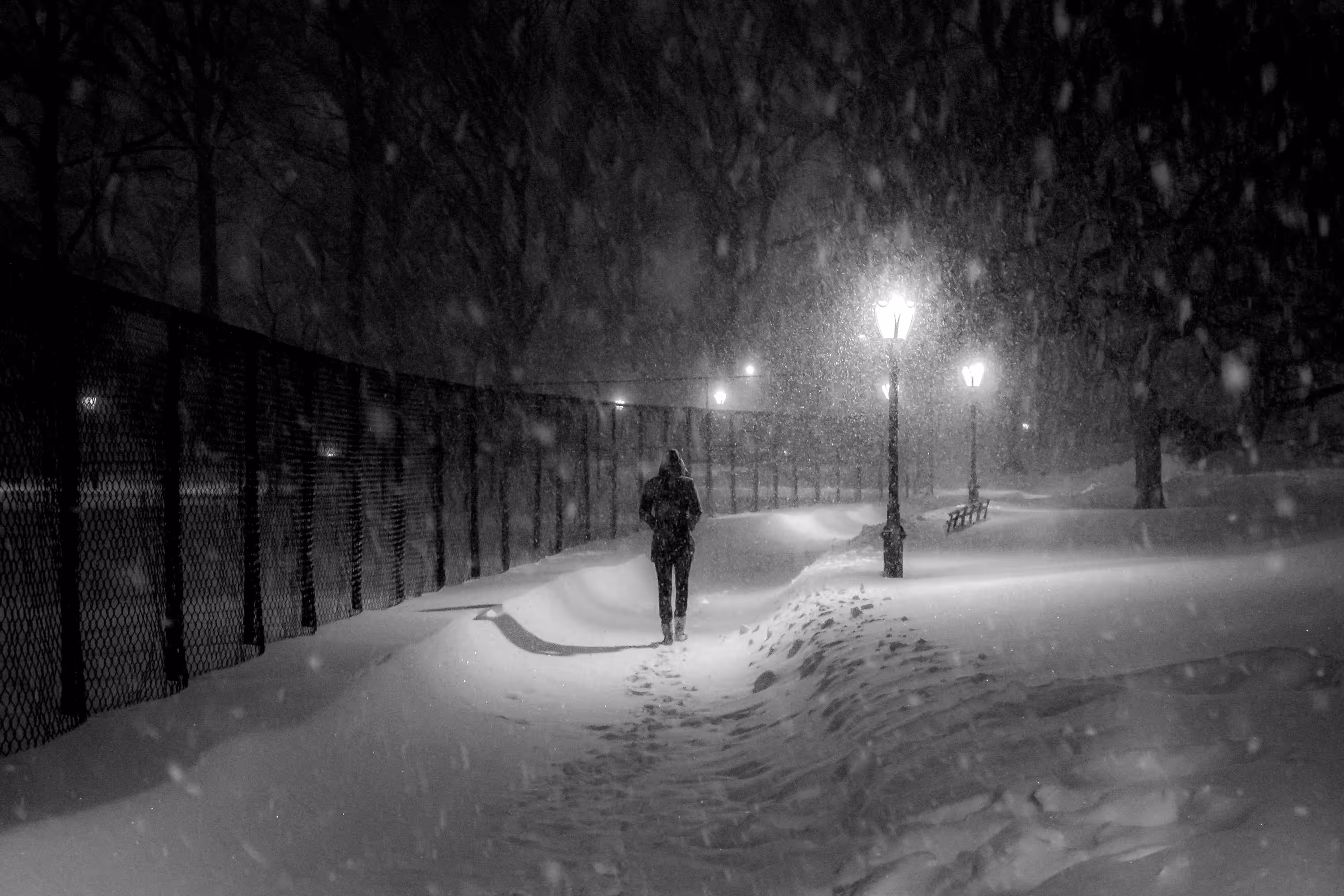 NY.GHOSTS.B