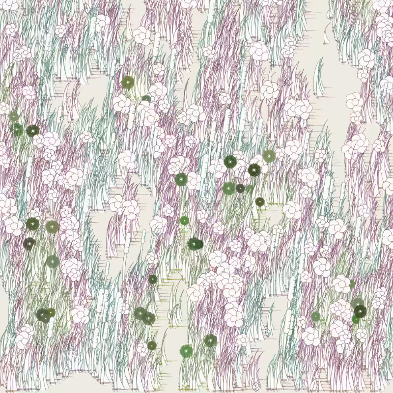 Petri 1500 #434