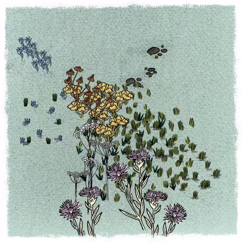 Gardens  #111