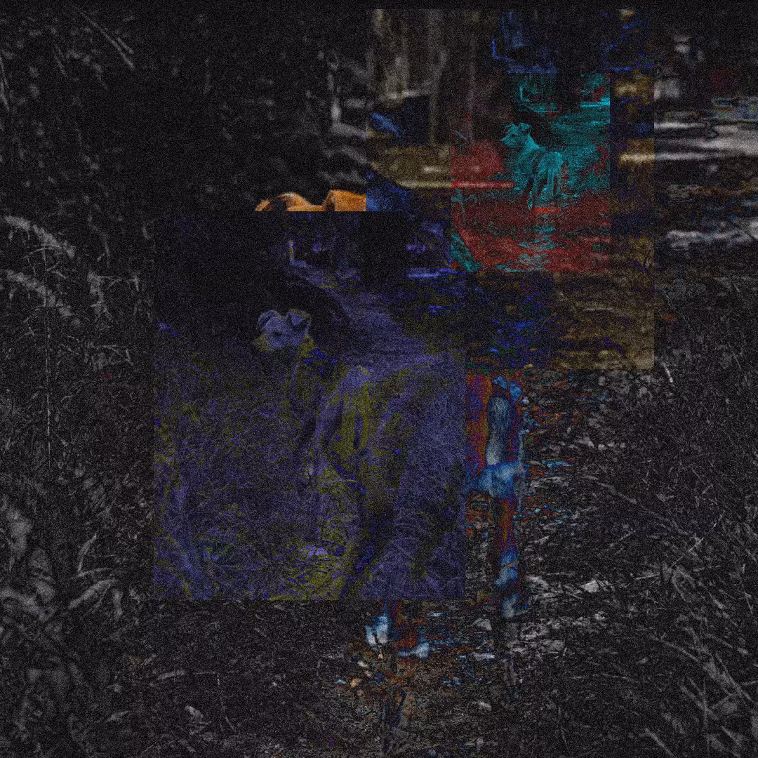 1888 - Tint #8