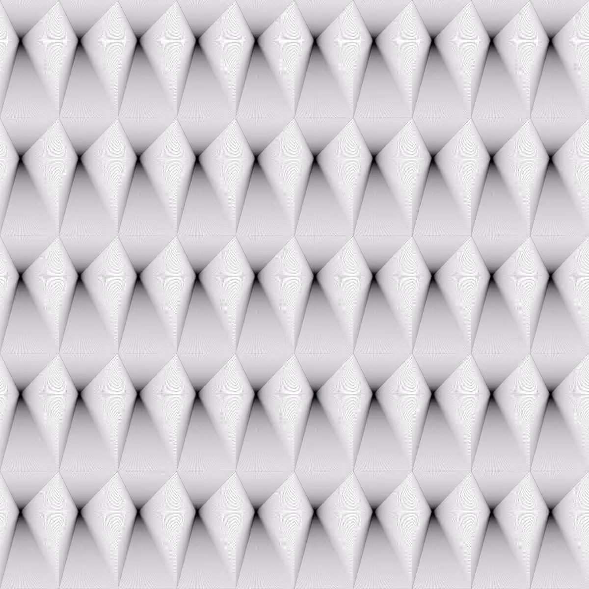 Noir et Blanc #41