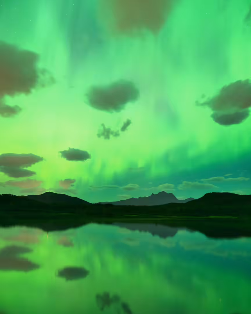 Electric Green