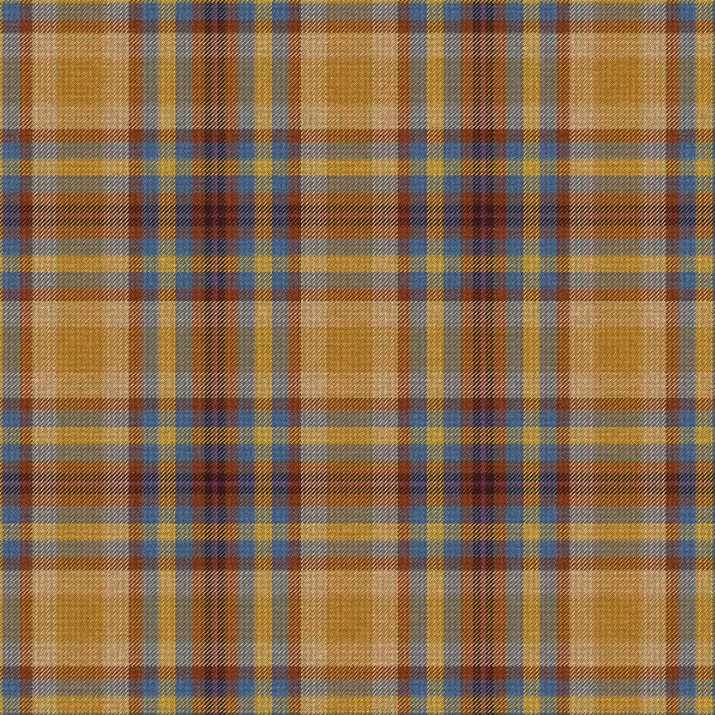 Tartan Cloth #29
