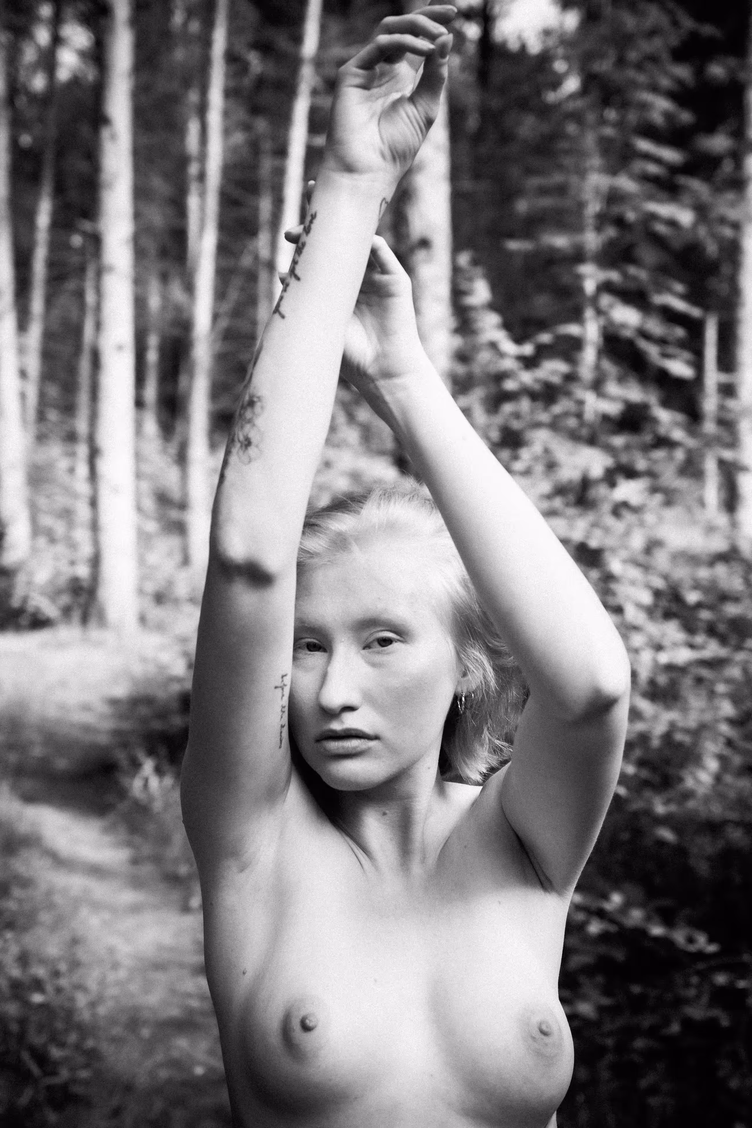Into the woods