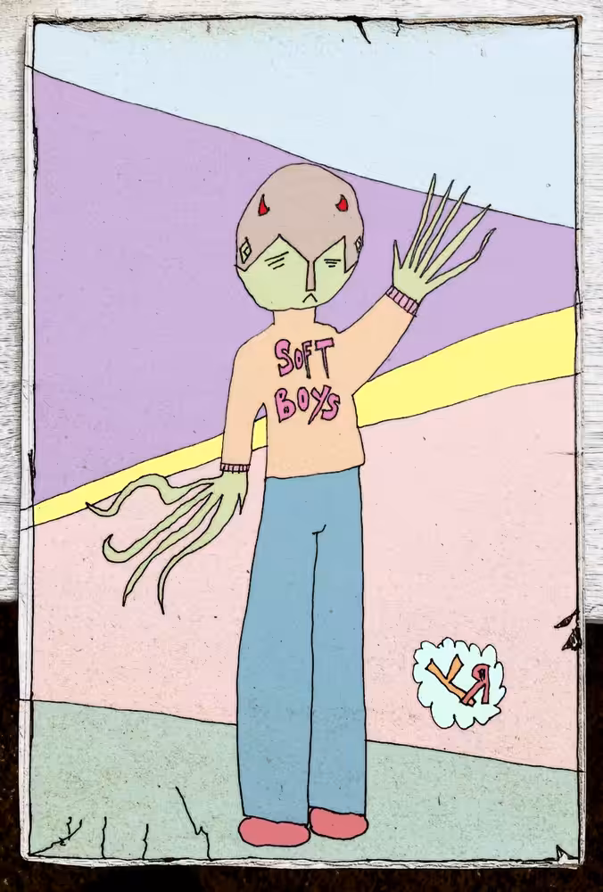 Soft Boys Fan