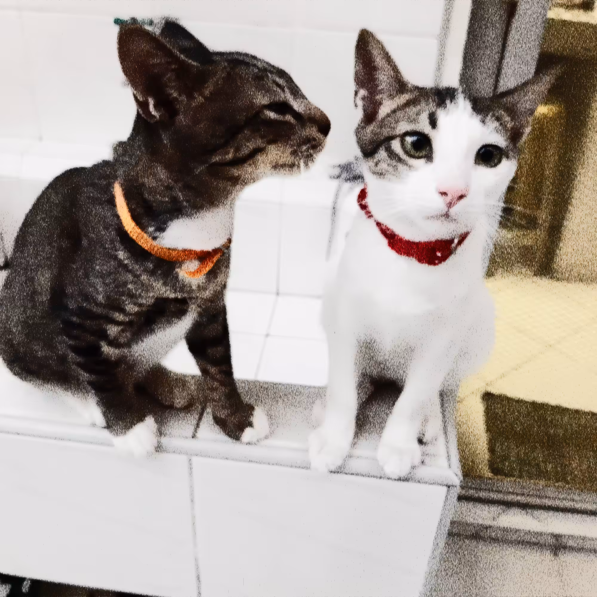 Pusskin #24 - Tiggy kissing Beauty