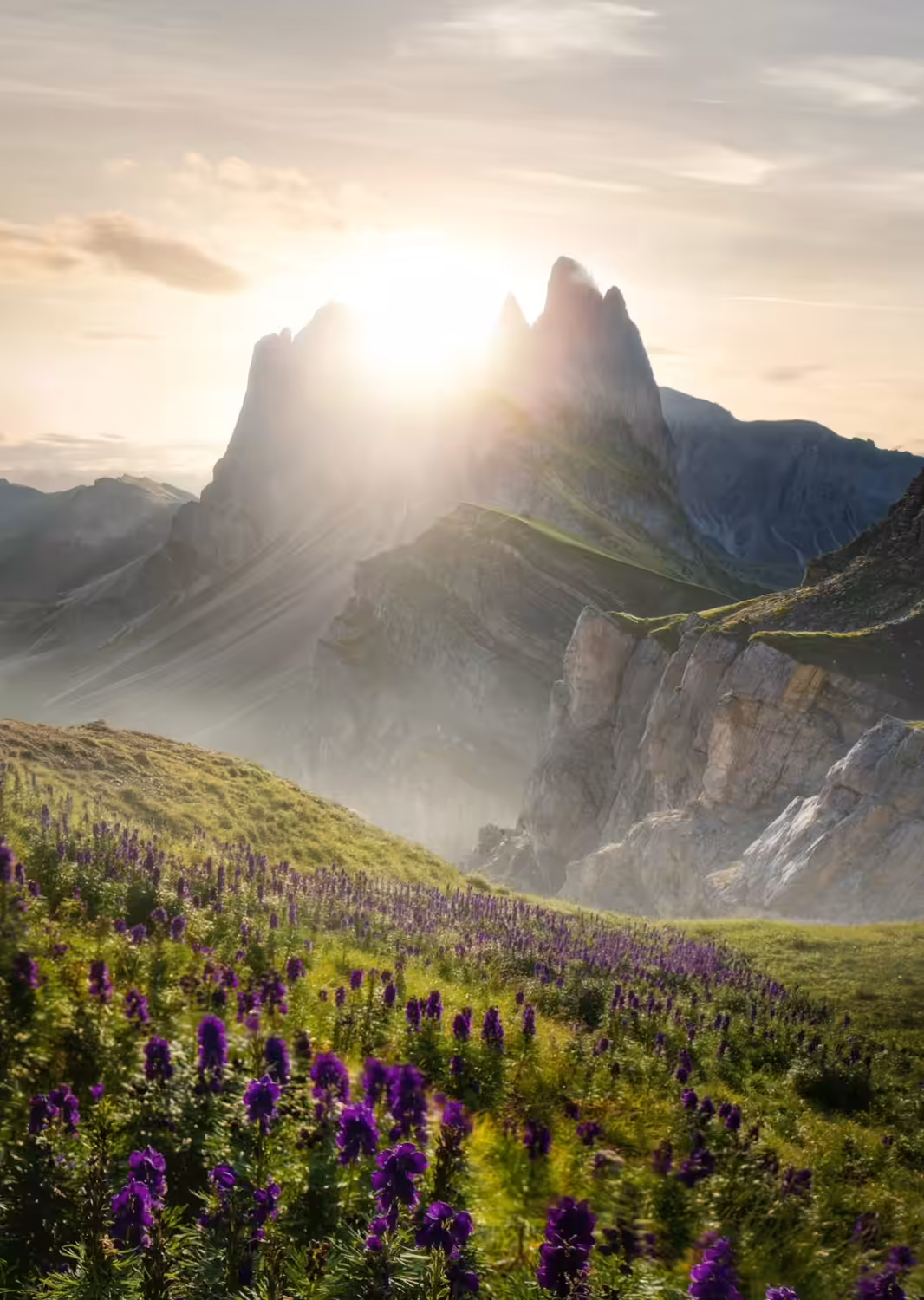 First Light