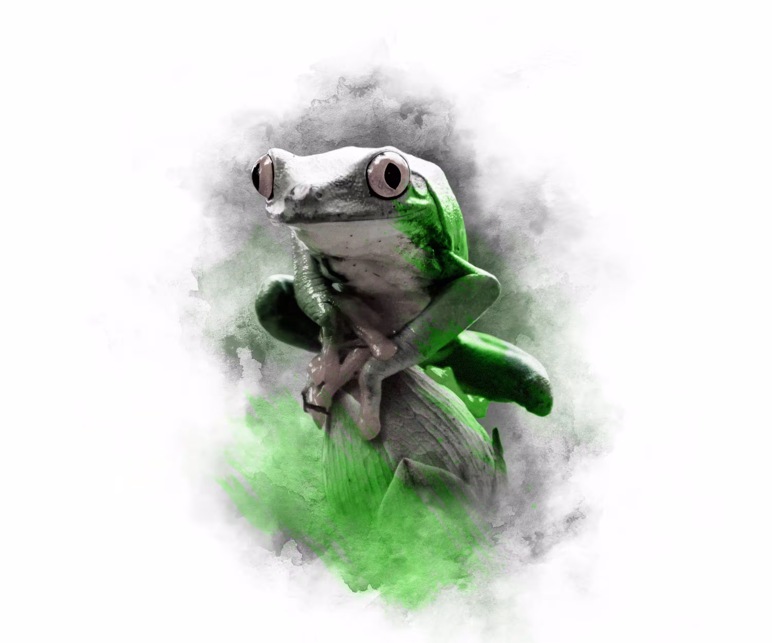 LIME SERIES - TREE FROG