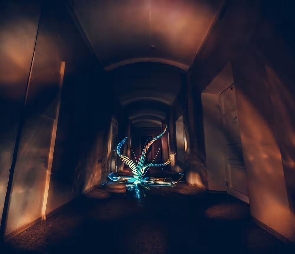 Light has taken roots.