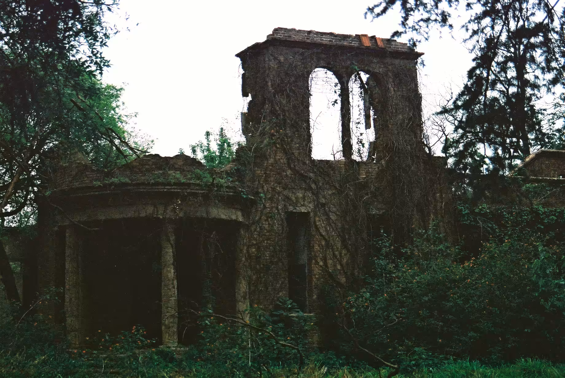Una historia de abandono