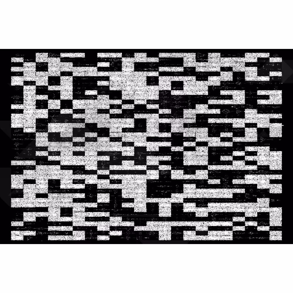 Etude B&W #290