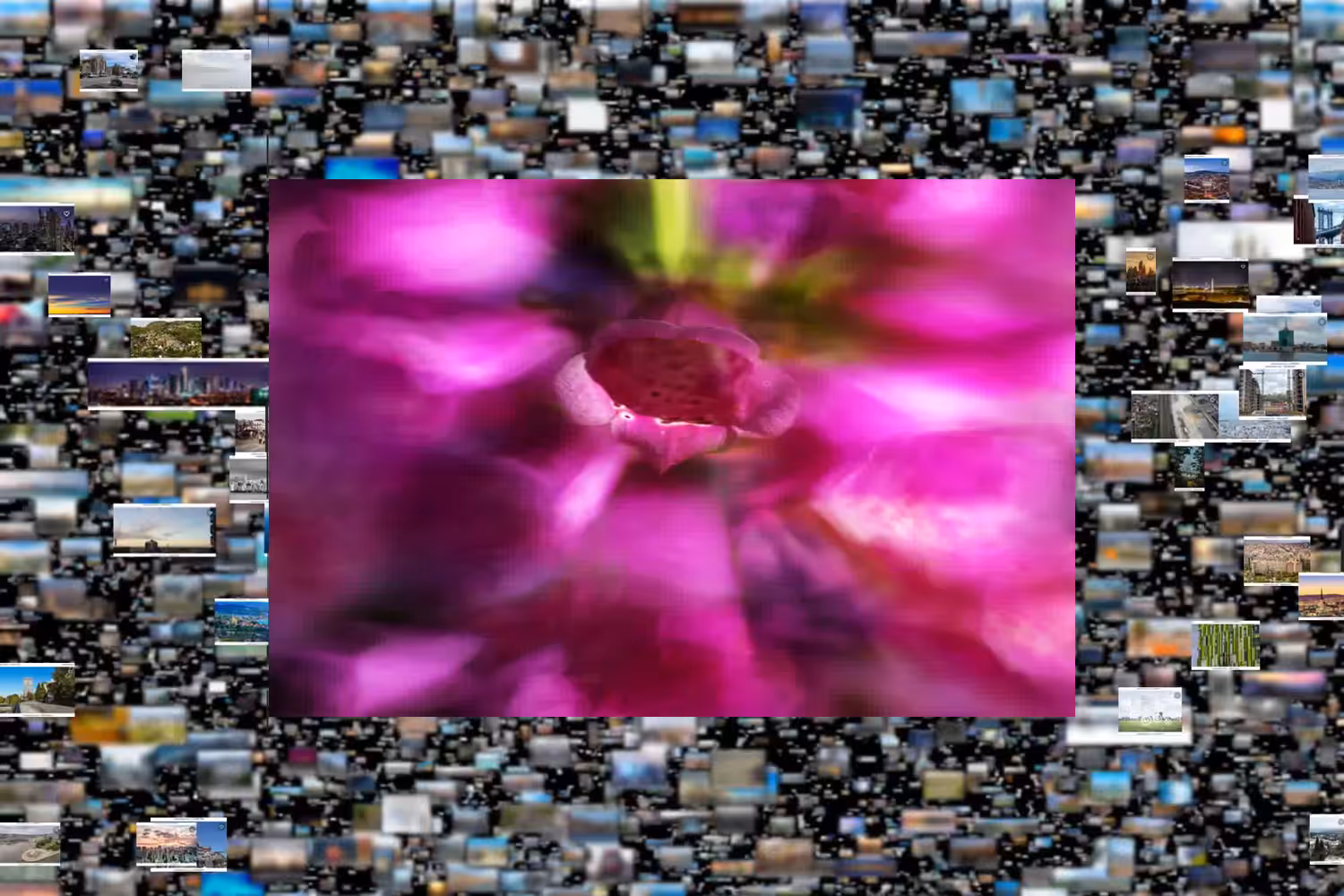 435264 - purple moment