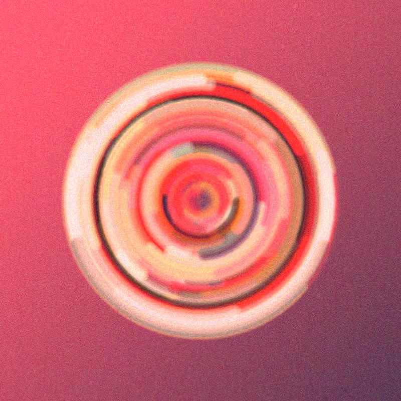 Wisp #475