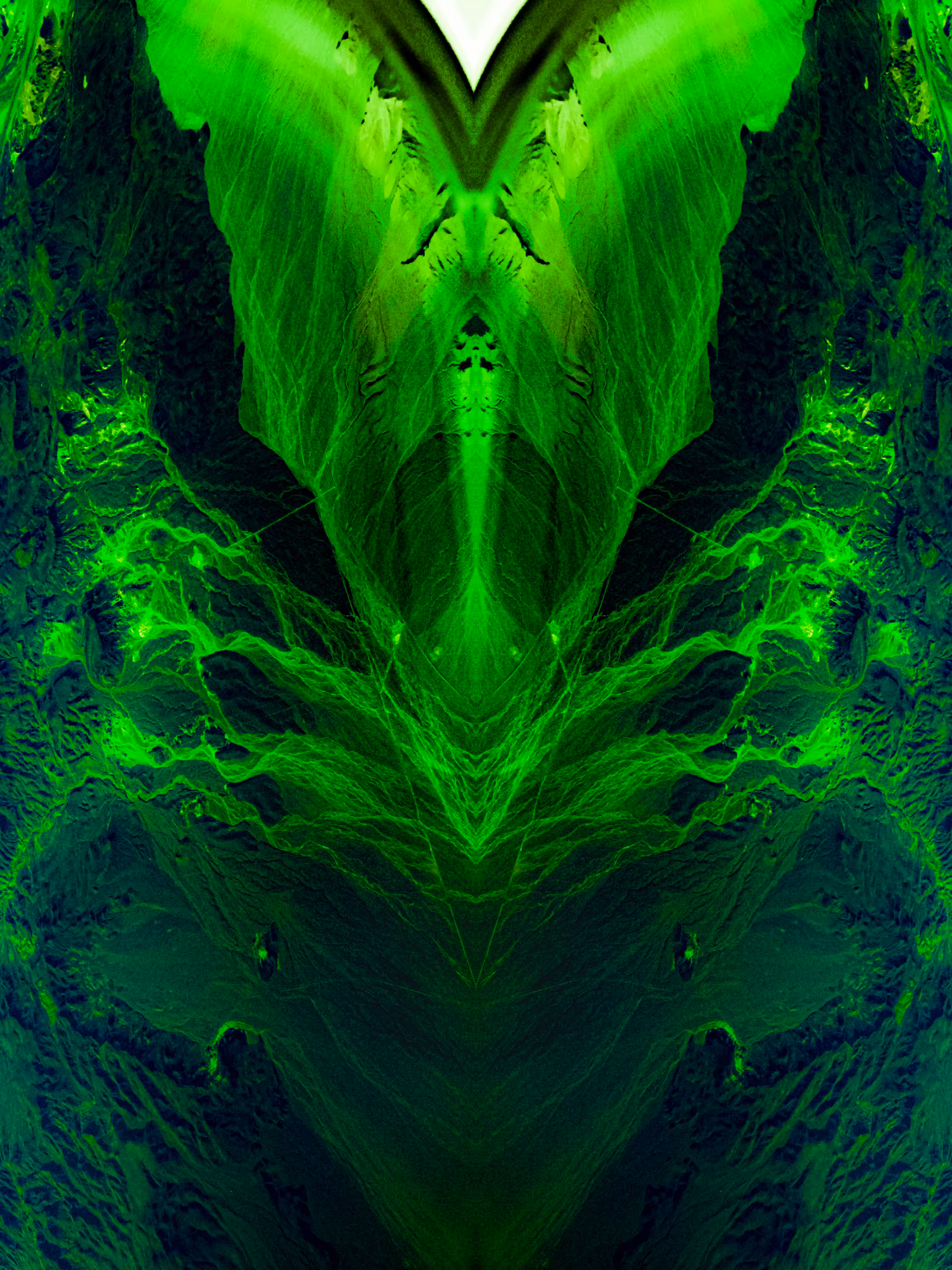 Rorschach #365