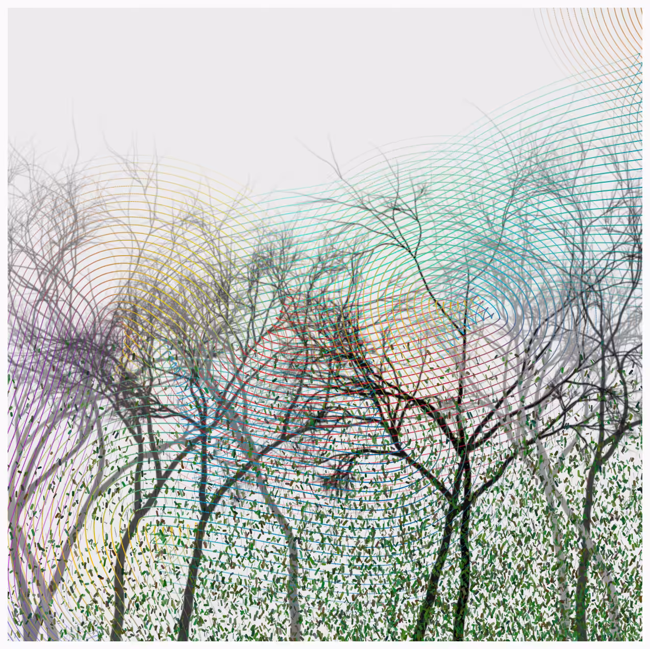 Trees V2 #11