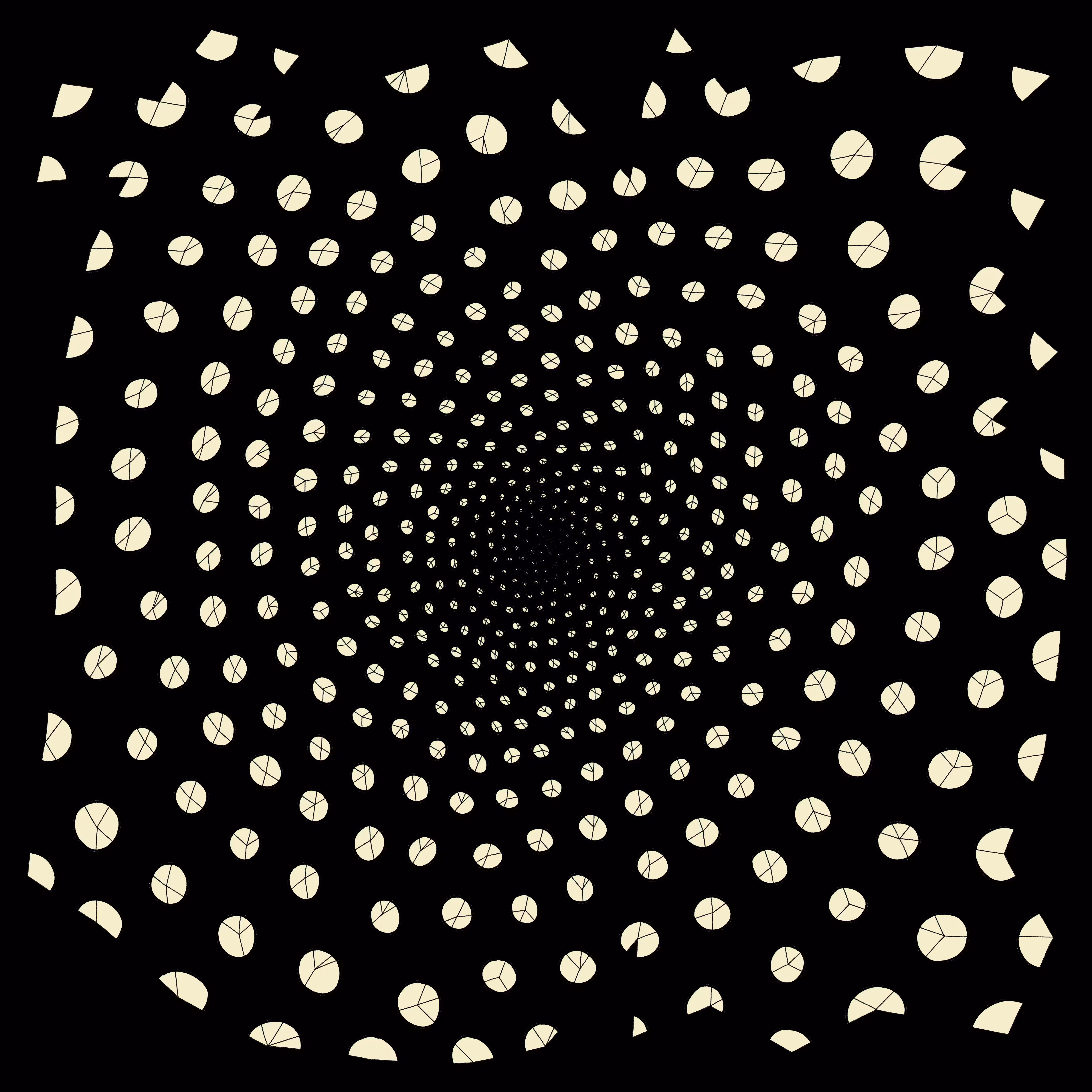 constellation piechart